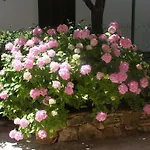 Casa Leona