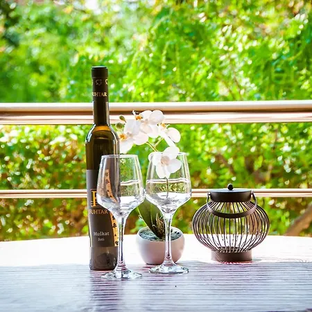 Casa Leona Ровинь